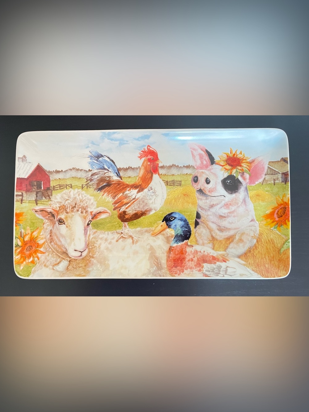 Pier 1 Imports Farm Life Farmhouse Rectangular Stoneware Platter